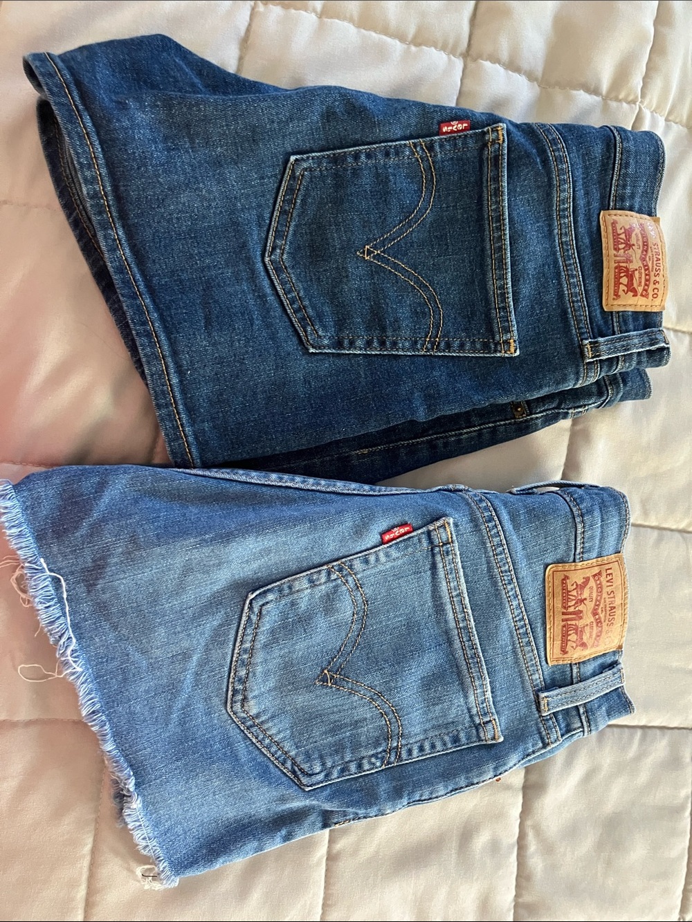 Levi's Blue Denim Shorts Duo - Light & Dark Wash
